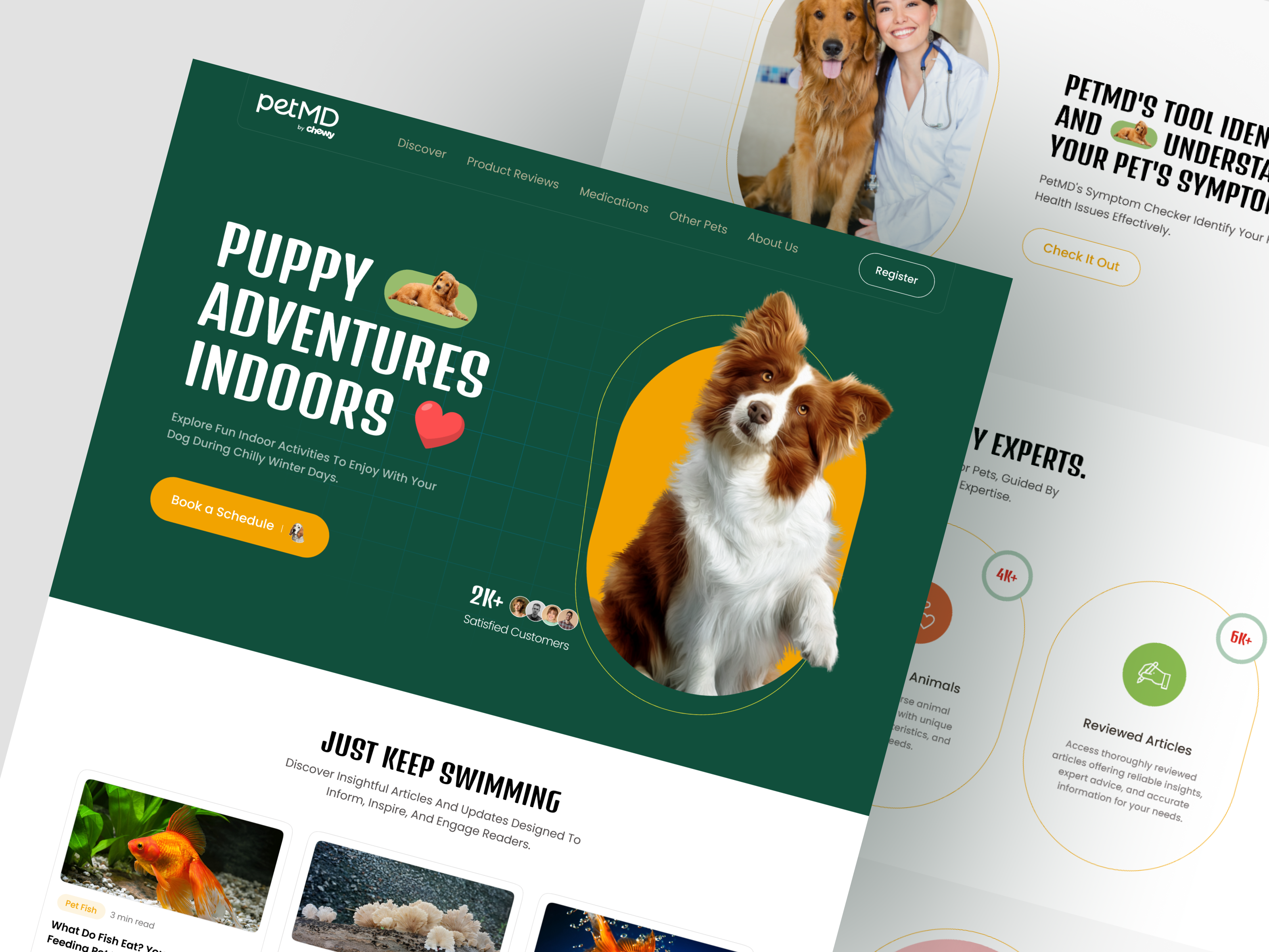 Example of E Commerce Website Design & Development