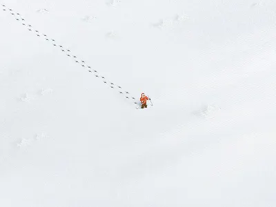 Polar explorer