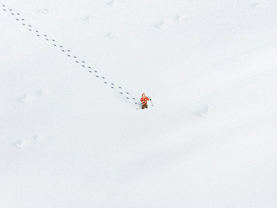Polar explorer