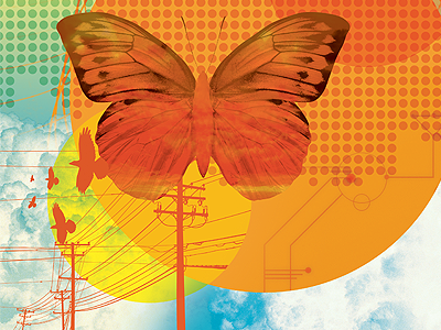 Summer birds butterfly clouds communication illustration nature power line technology