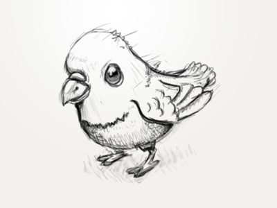 Pigeon Sketch bird icon pigeon sketch wacom