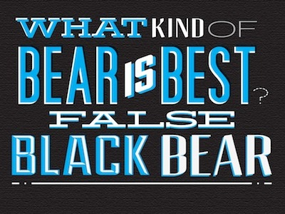 Black Bear dwight humor jim office type