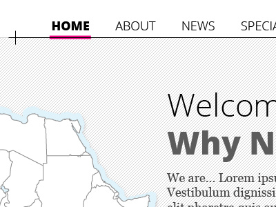 Why Not Travel Website gray website white. magenta yellow