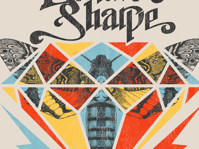 Sharpe Moth bright butterfly diamond