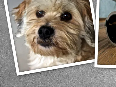 Drop animation css3 html5 photo