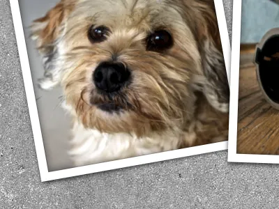 Drop II animation css3 html5 photo