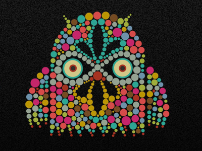 Owl color fun rebound