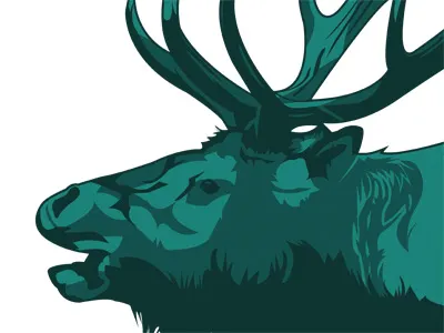 Elk