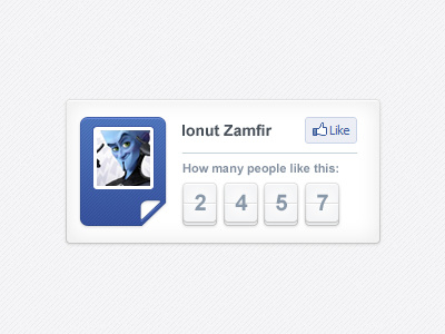 Likes counter for a Facebook app counter facebook facebook app like widget