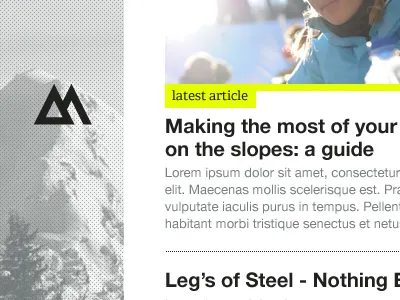 Skiing & Snowboarding Website / ID brand branding content form id logo snow texture typography web website