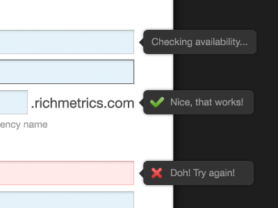 Form Explainations explanation fields form registration richmetrics sign text up