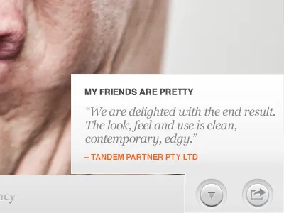 Carter Digital iPad Application 2.0 application free icons ipad photography shiny texture web