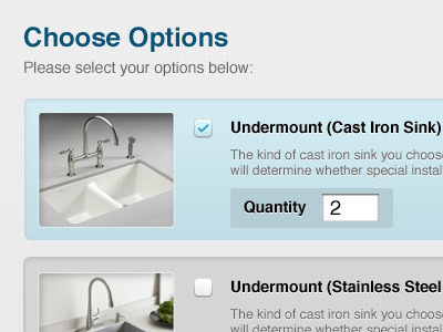 Choose Options checkbox options ui web app website