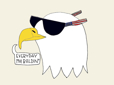 Freedom. bald eagle illustration merica sunglasses