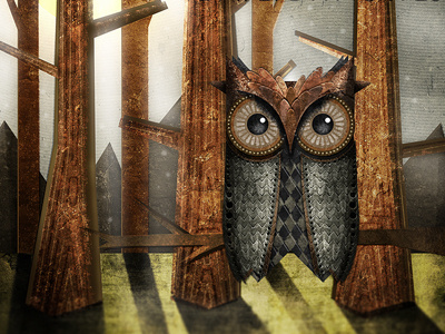 Owl2 album brown cover owl sky textures trees