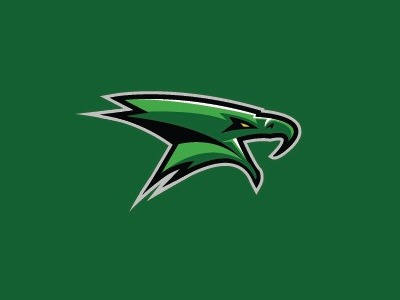The green one. logo sports