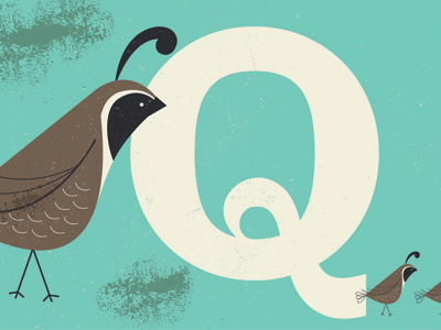 Q alphabet design illustration letter neat q quail vintage