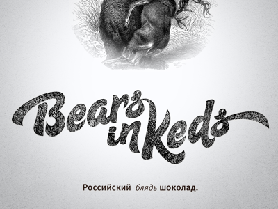 Search logo for Bears in Keds logo