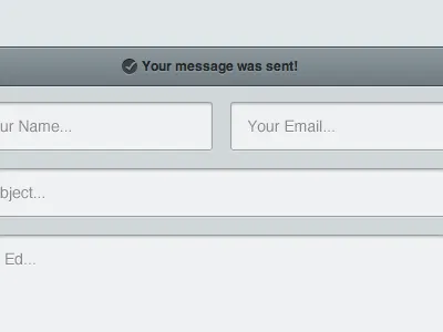 Contact Form contact form input result