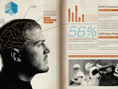 Bulwark brochure infographic