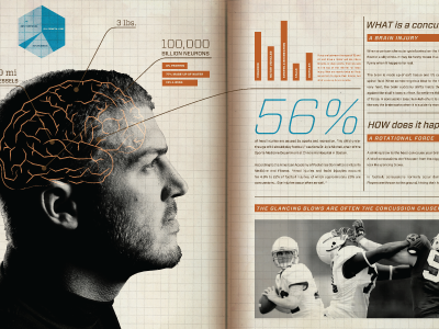 Bulwark brochure infographic