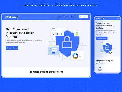 Data Privacy SaaS Website data security graphic design interface landing page mockup saas app ui ux