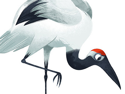 Crane bird crane illustration