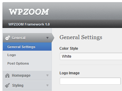 Theme Options options panel settings ui