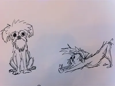 new puppy sketches sketch