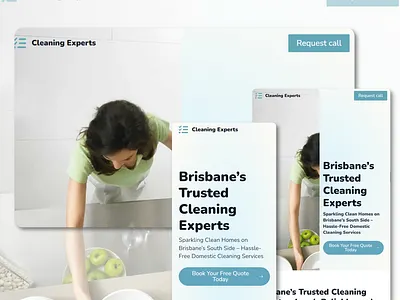 Cleaning Team branding design web design website