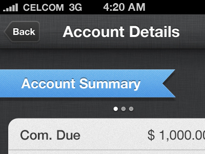 Account Details app app design iphone ui