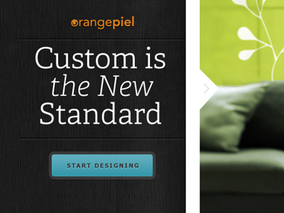 The New Standard comp design sleek web