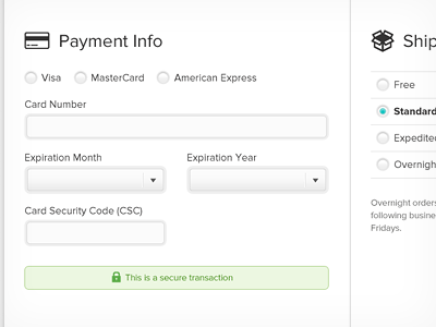 Payment Info cart credit card form fields forms shopping ui