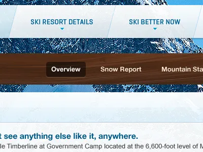 There's no business like snow business art direction diagonal interface resort snow wood