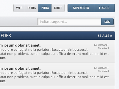 Intranet blue button interface intranet