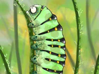 Little Buddy caterpillar comic digital green illustration