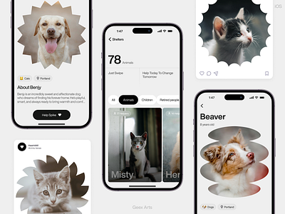 Animal shelter android app clean concept design figma ios material mobile mobile app ui uiux