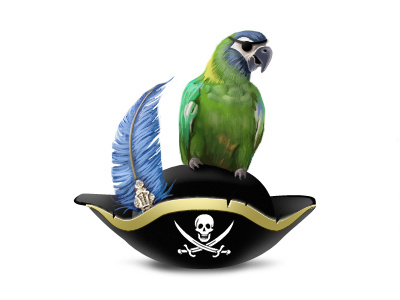 Pirate feather gift hat icon parrot pirate