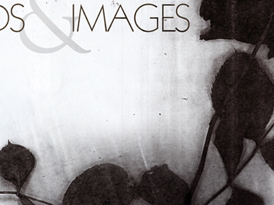 Imaginary Perennial black grain grunge images paper photoshop plants real roses spots texture thick thin things type white words