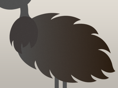 Emu bird emu feather
