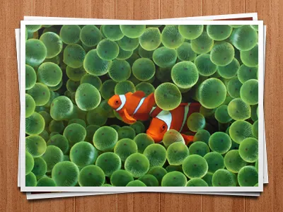 Photo Stack Free PSD app cool frame free freebie friendly gui photo photograph psd stack tablet ui web wood