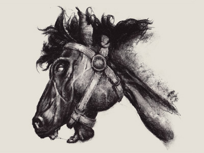 Horse Head charcoal horse illustration