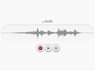 Audio audio pause play rec