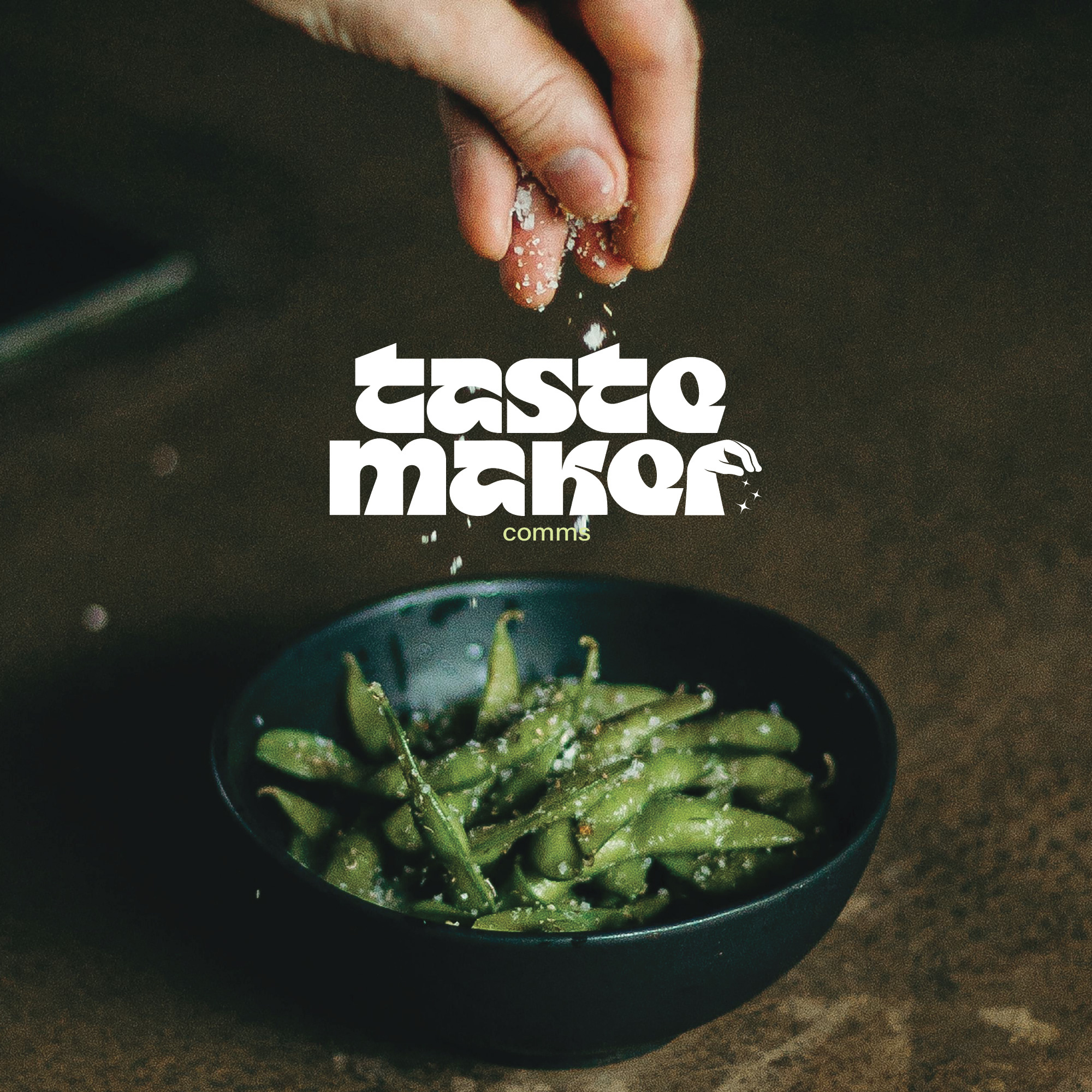 tastemaker abstract branding brandmark design illustration lettering logo logotype seasoning taste tasty wordmark