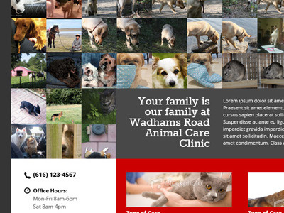 Vet Site Homepage web website