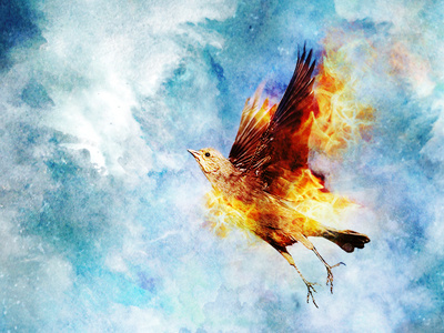 Years Since The Storm CD album art bird fire photo manipulation years since the storm zeb love