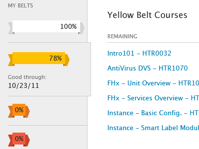 Yellow Belt Courses platform progress training