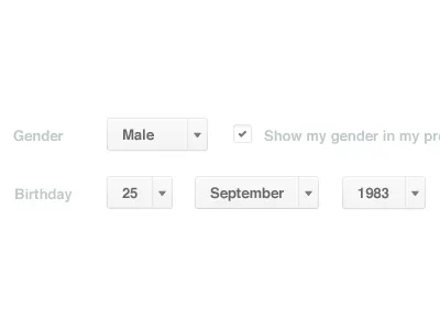 happiest Profile UI birthday check box checkbox drop down gender green happiest profile settings ui