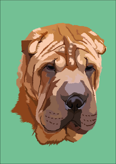 SharPei animal animalportrait art digitalart dog doglovers graphicdesign illustration pet petportrait portrait sharpei vector vectorart