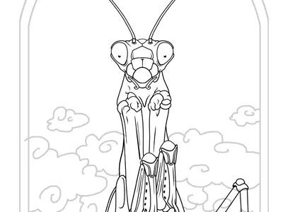 mantis religiosa clouds door gottesanbeterin heaven illustration mantis religiosa sketch wip